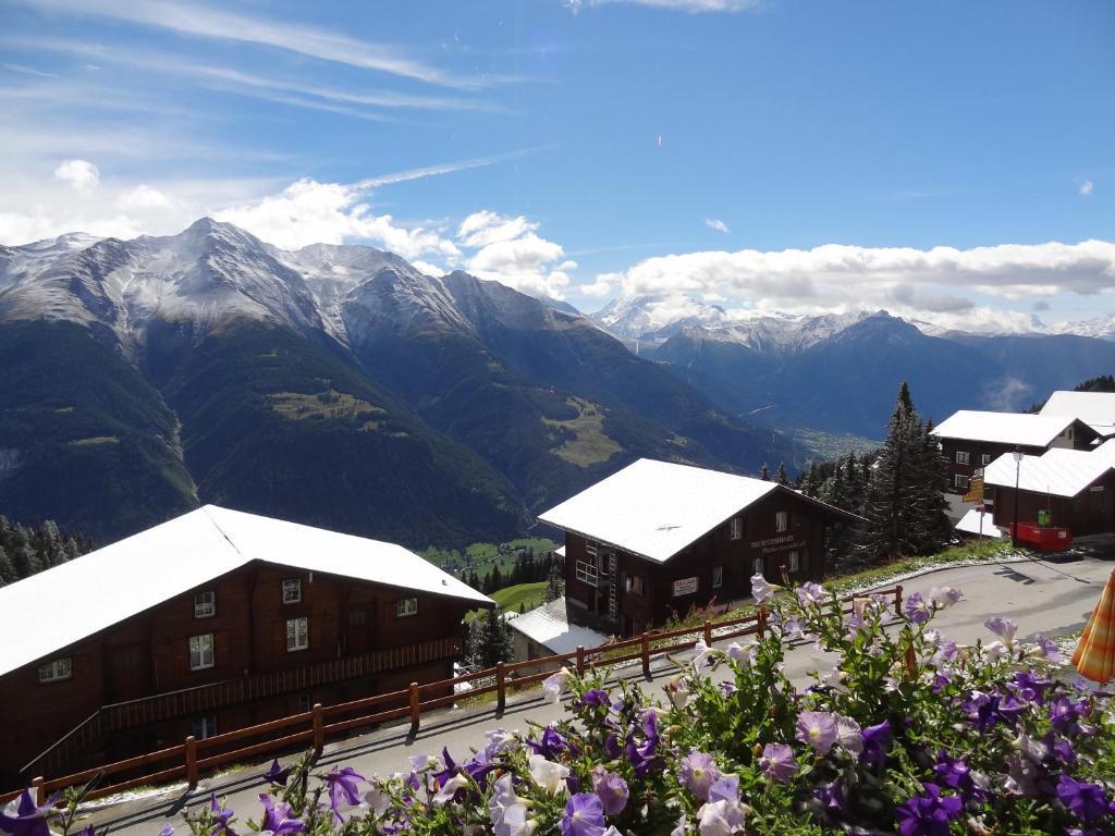Hotel Alpfrieden Bettmeralp Luaran gambar
