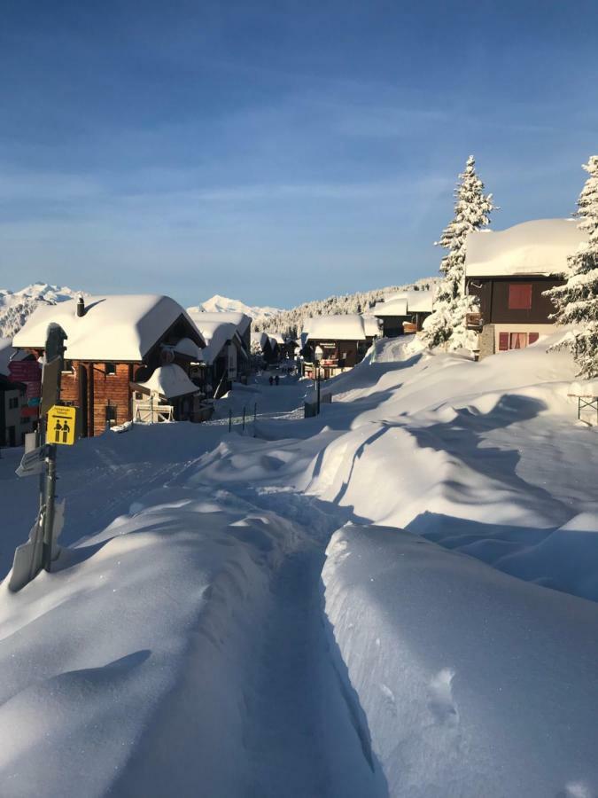 Hotel Alpfrieden Bettmeralp Luaran gambar
